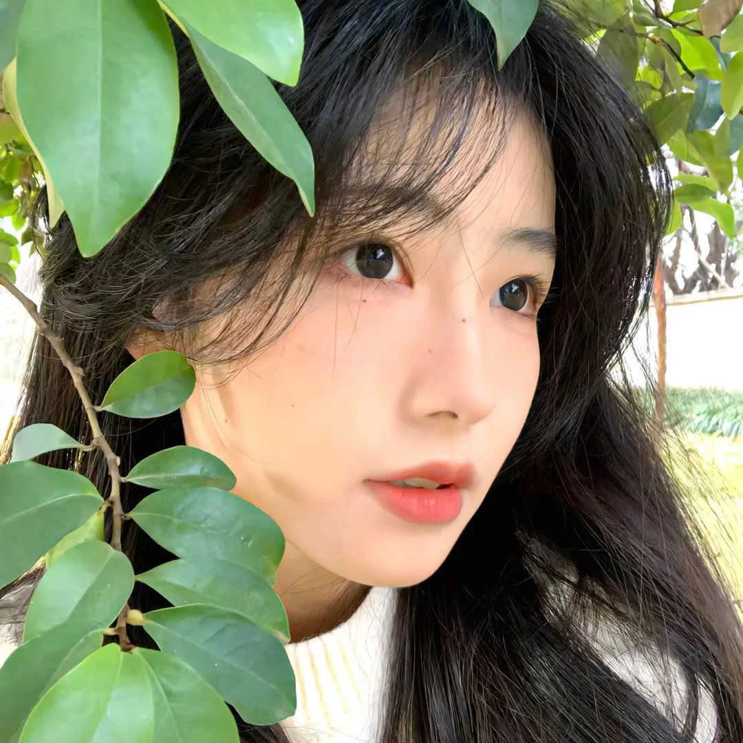 耶稣摇摆
