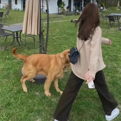 火红的杜鹃花